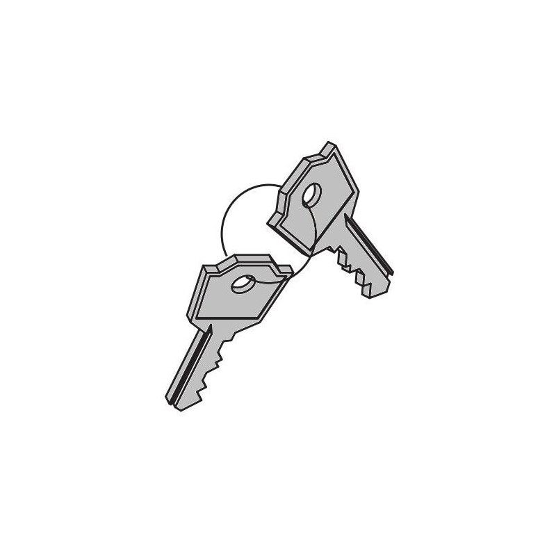 ART. 690407 - Chiavi serratura cifrate per Nupi 66